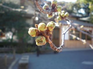 CIMG0006.JPG